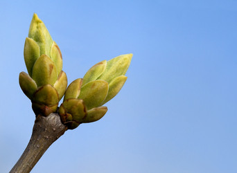 Similar image 20227902