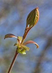 Similar image 20227905