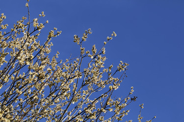 Similar image 20225932