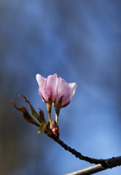 Similar image 20227625