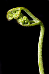 Similar image 20225496