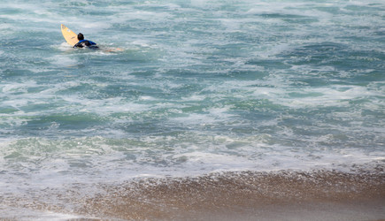 Similar image 20228361