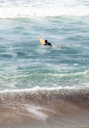 Similar image 20228364