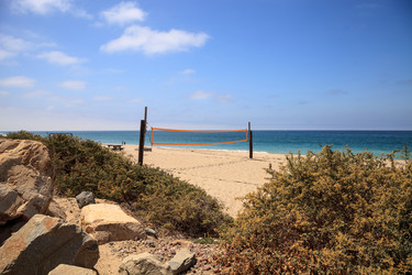 Similar image 20228448