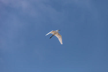 Similar image 20228574