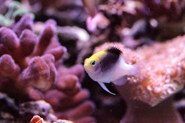 Similar image 20228242