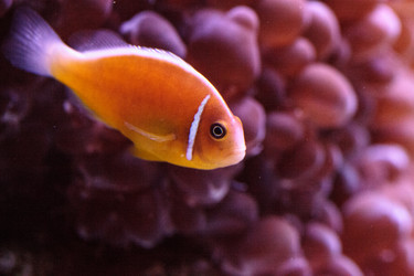 Similar image 20228291