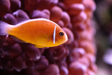 Similar image 20228292