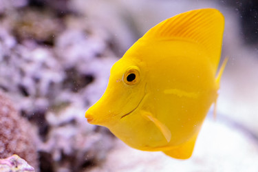 Similar image 20228312