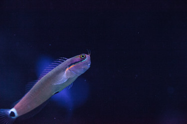 Similar image 20228314