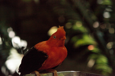 Similar image 20228334