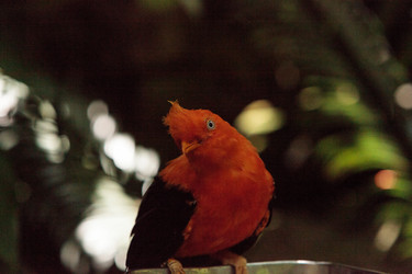 Similar image 20228337