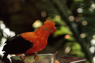 Similar image 20228349