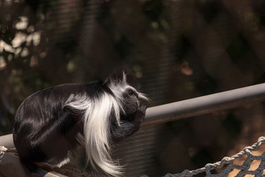 Similar image 20228392