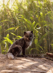 Similar image 20228411