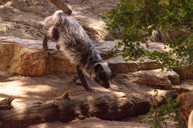 Similar image 20228417