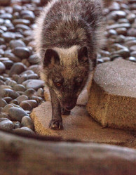 Similar image 20228437