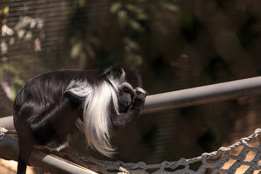 Similar image 20228442