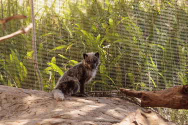 Similar image 20228391