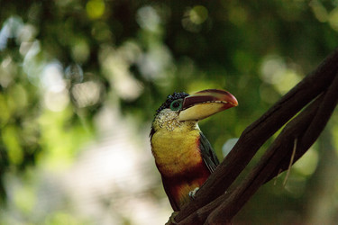 Similar image 20228394