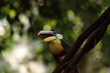 Similar image 20228423