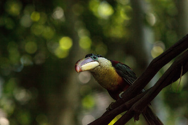 Similar image 20228543