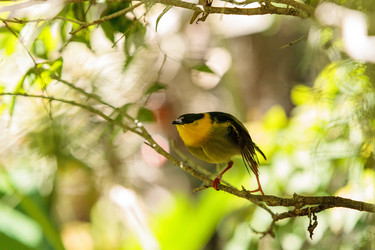 Similar image 20228554