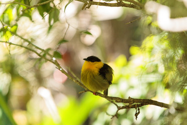 Similar image 20228584