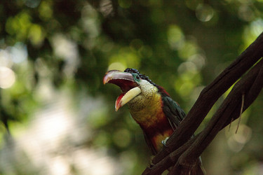 Similar image 20228594