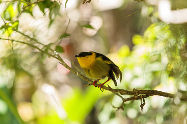 Similar image 20228606