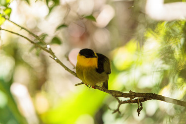 Similar image 20228622