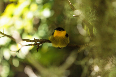 Similar image 20228664