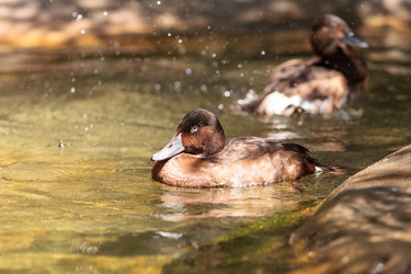 Similar image 20228638