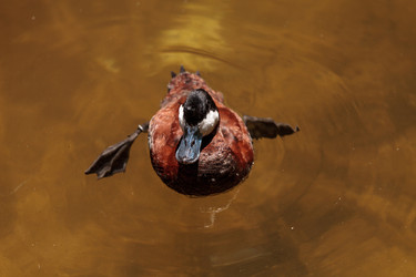 Similar image 20228159