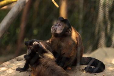 Similar image 20228160