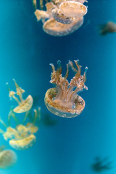 Similar image 20228297