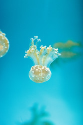 Similar image 20228298