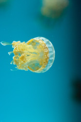 Similar image 20228300