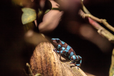 Similar image 20228319