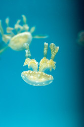 Similar image 20228320