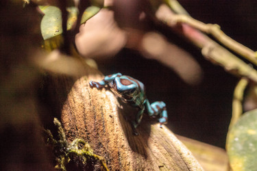 Similar image 20228339