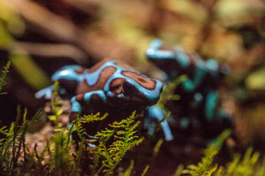 Similar image 20228358