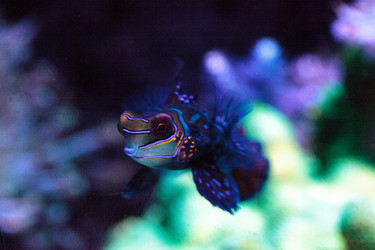 Similar image 20228449