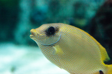 Similar image 20228479