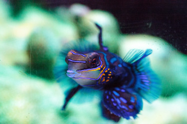 Similar image 20228488