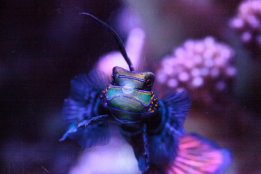 Similar image 20228439