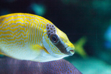 Similar image 20228443