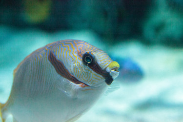 Similar image 20228447