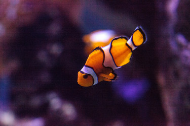 Similar image 20232462