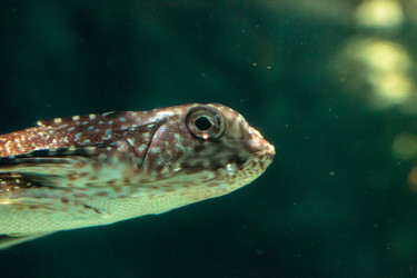 Similar image 20228457